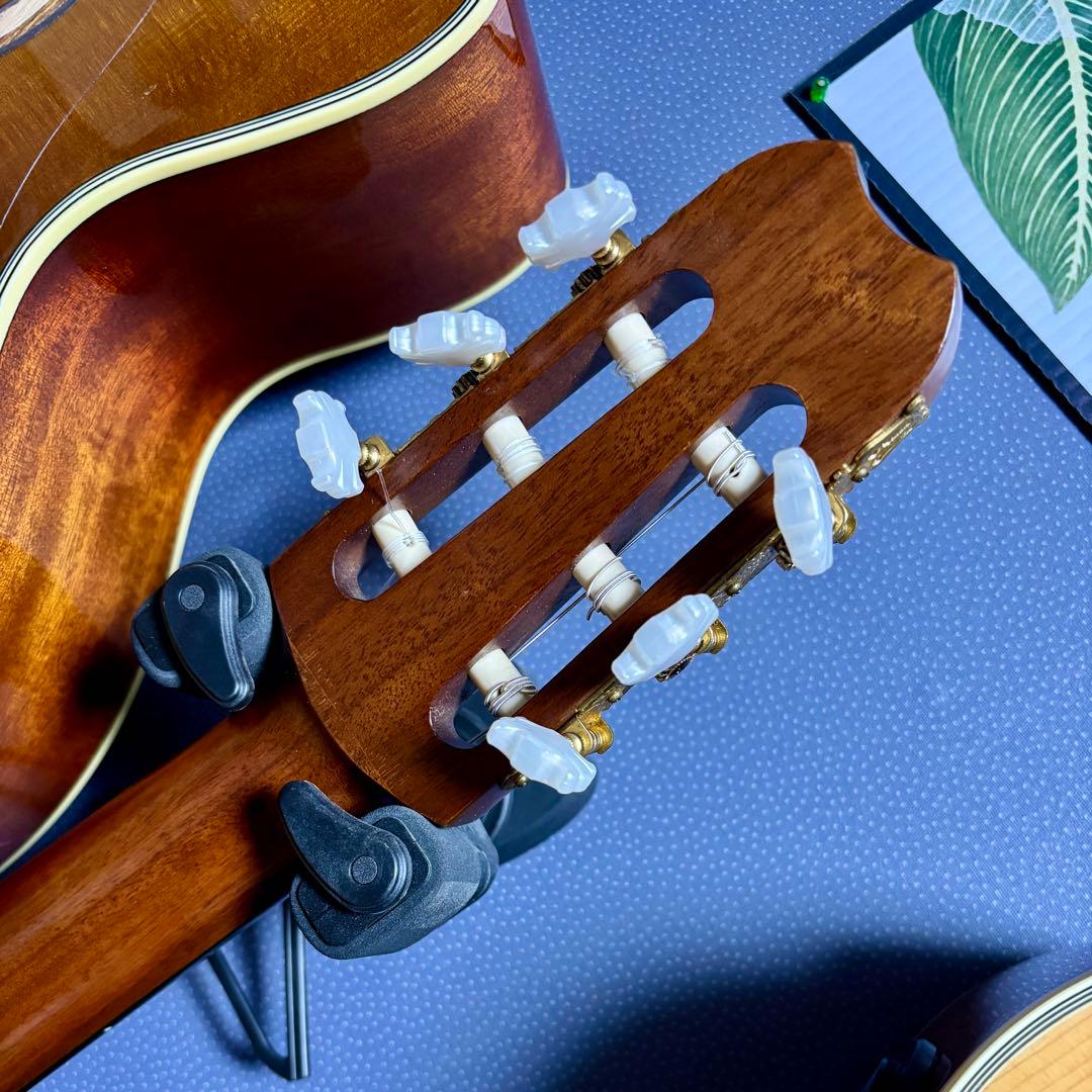 【美品】yamaha apx 5NA 細いネックで弾きやすいエレガット