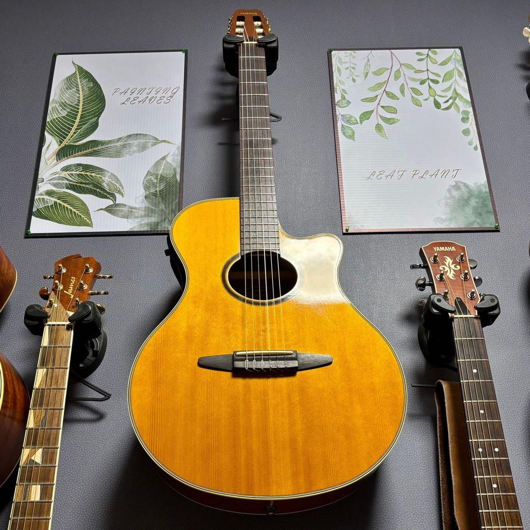 【美品】yamaha apx 5NA 細いネックで弾きやすいエレガット