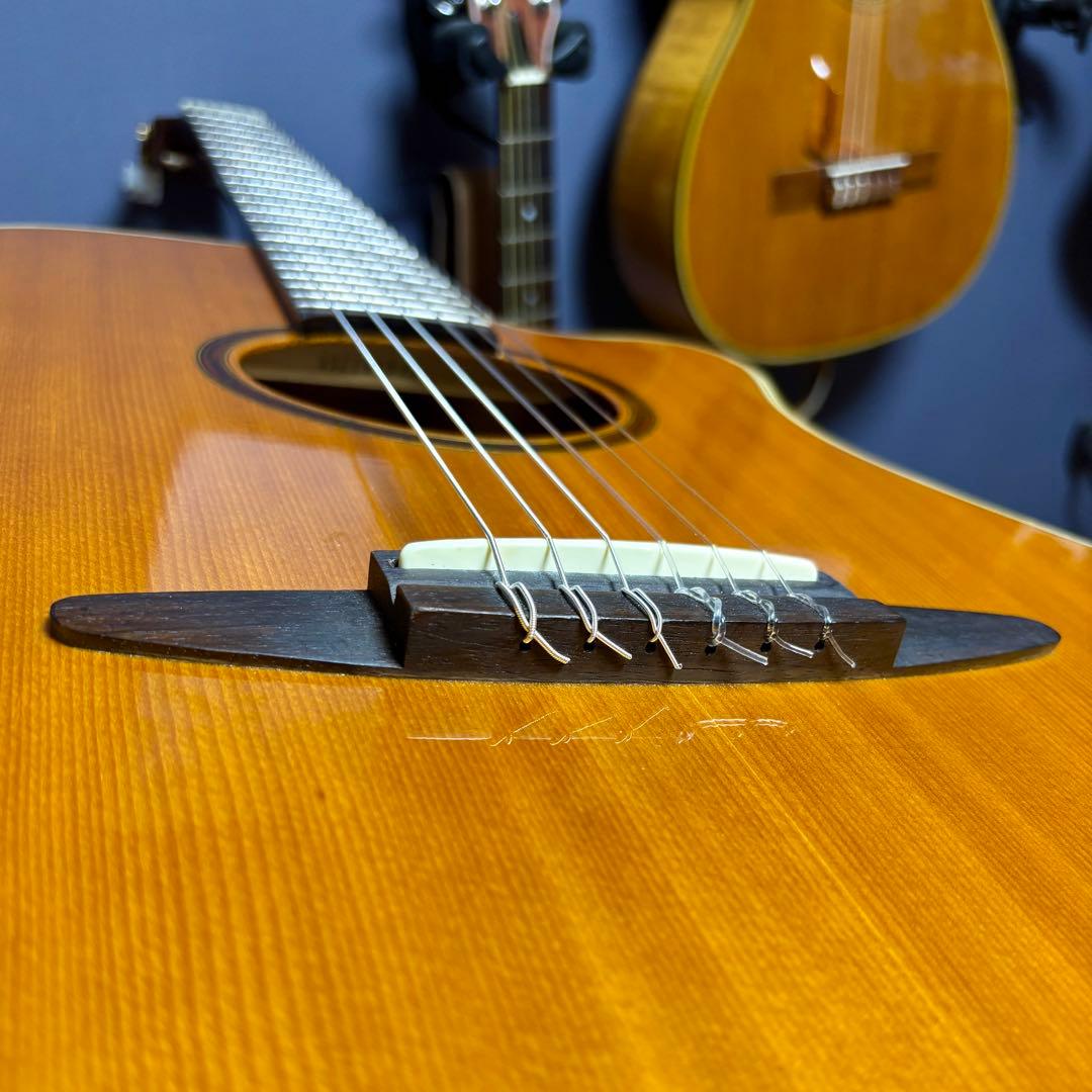 【美品】yamaha apx 5NA 細いネックで弾きやすいエレガット