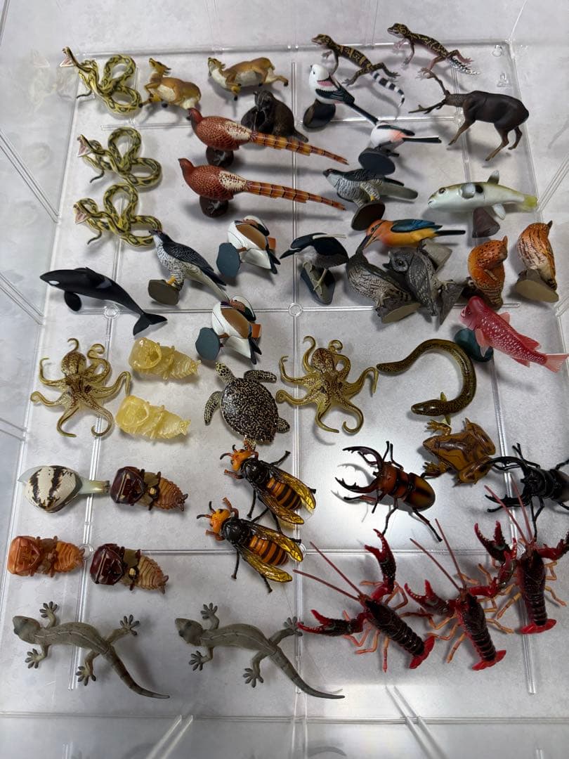 さらに！値下げしました！　海洋堂食玩トレーディングフィギュア約450点以上