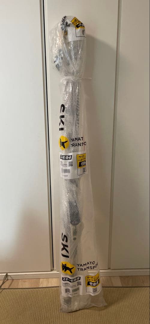 ROSSIGNOL GS PRO POWER TURN 165cm スキー板
