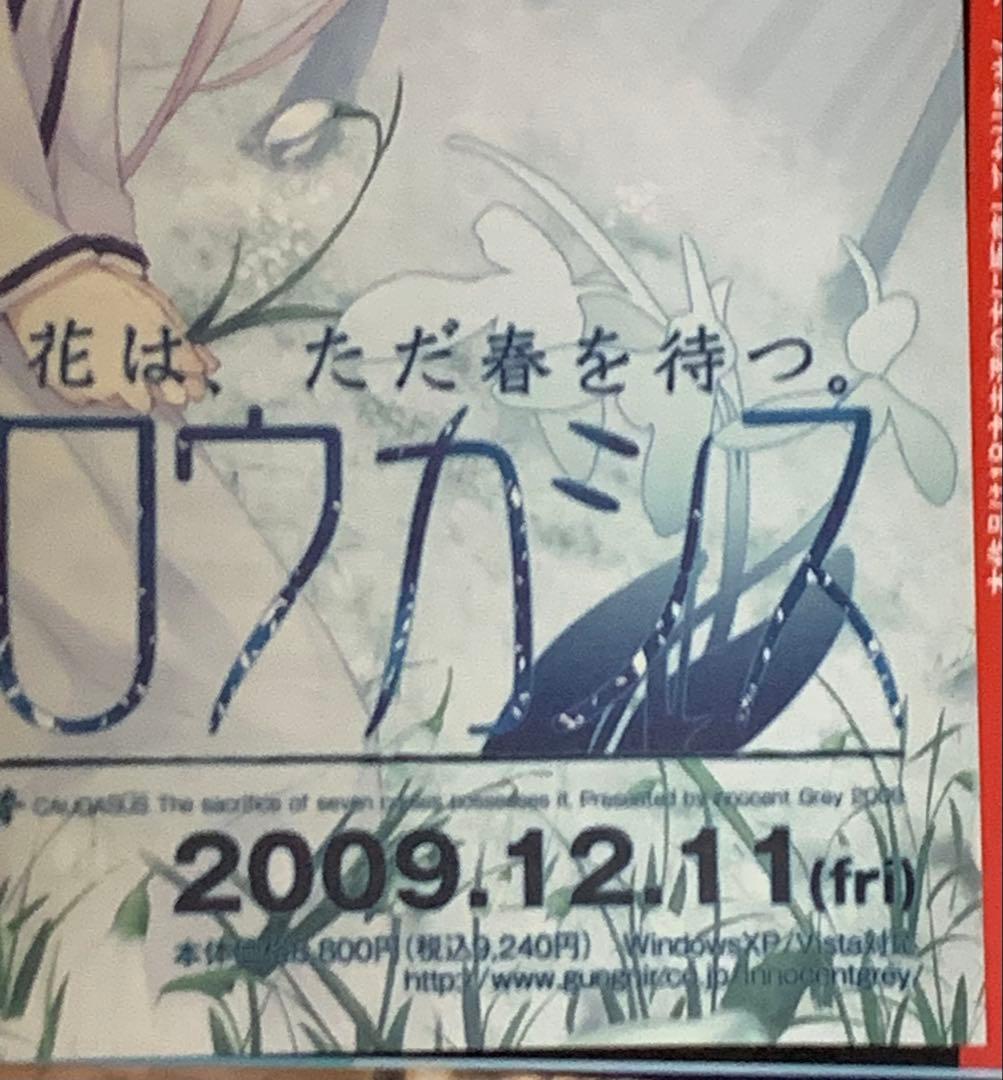【B2】 クロウカシス 七憑キノ贄 販促 非売品 ポスター