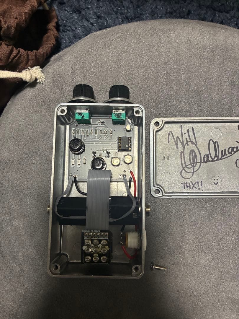 ギター triungulo lab J.F. Fuzz