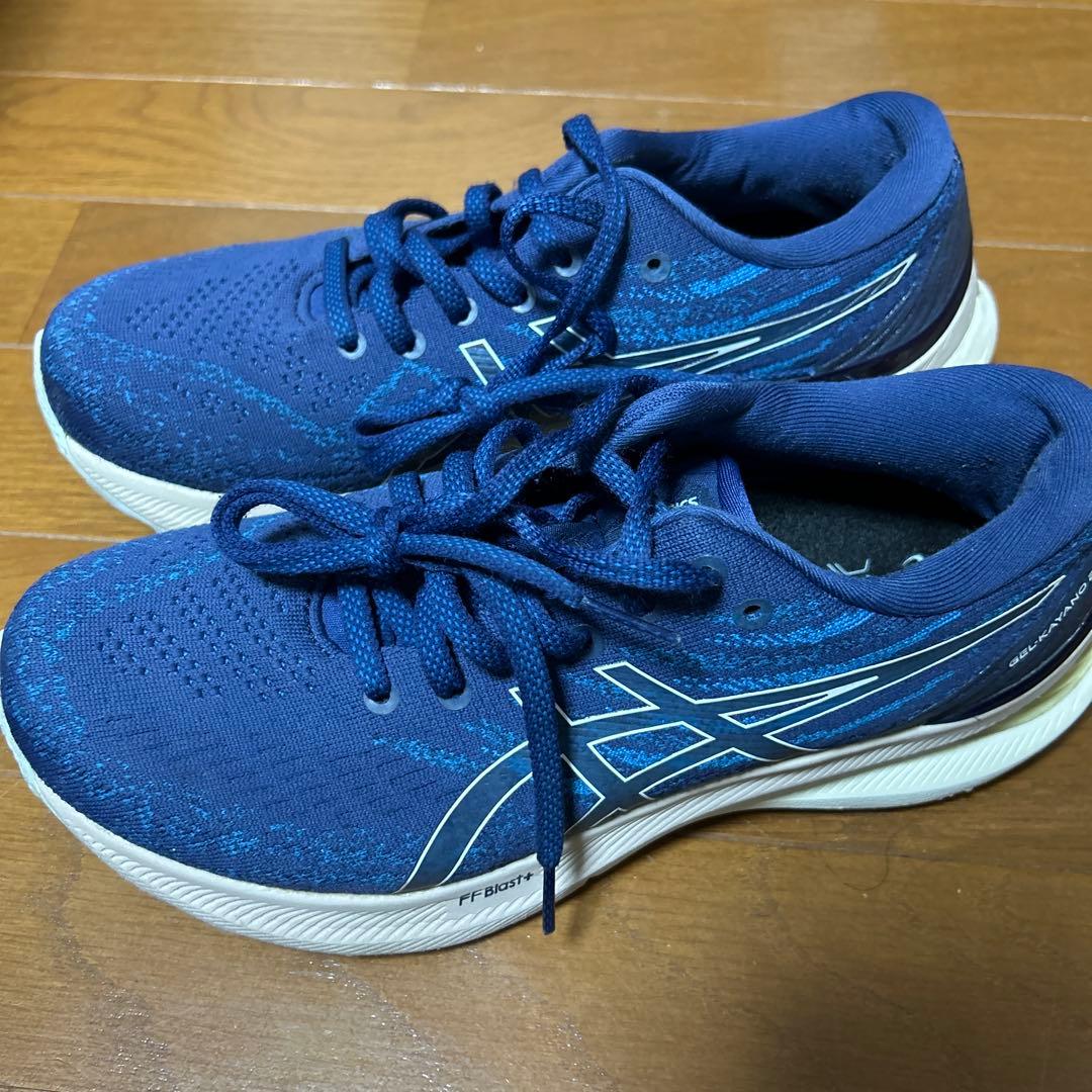 ASICS ゲルカヤノ29 25.0㎝