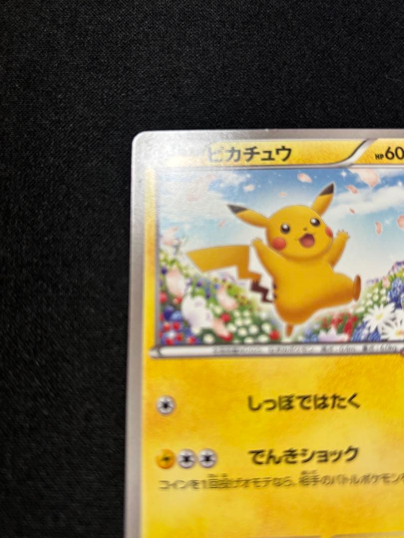 ピカチュウ P [BW-P 151](プロモ　ポケモンカードゲーム教室)