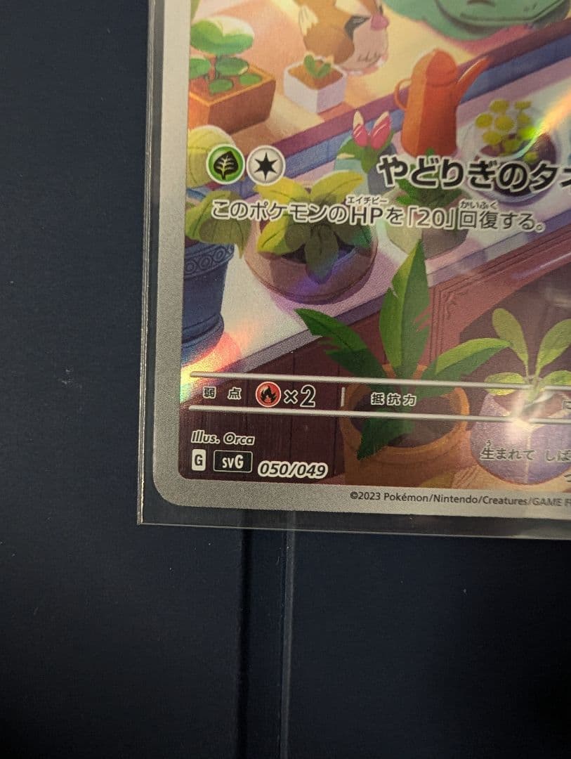 御三家公式ポケモンカード 3枚 ヒトカゲ フシギダネ ゼニガメ スペシャルデッキ