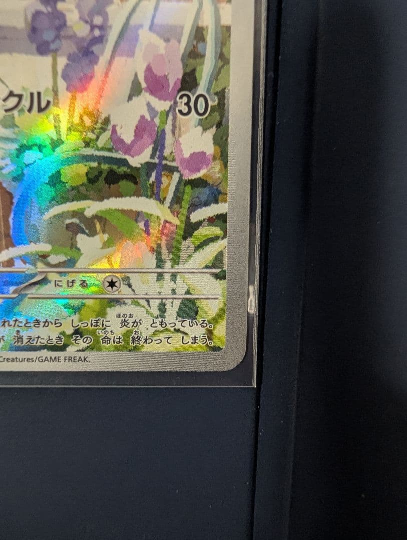 御三家公式ポケモンカード 3枚 ヒトカゲ フシギダネ ゼニガメ スペシャルデッキ