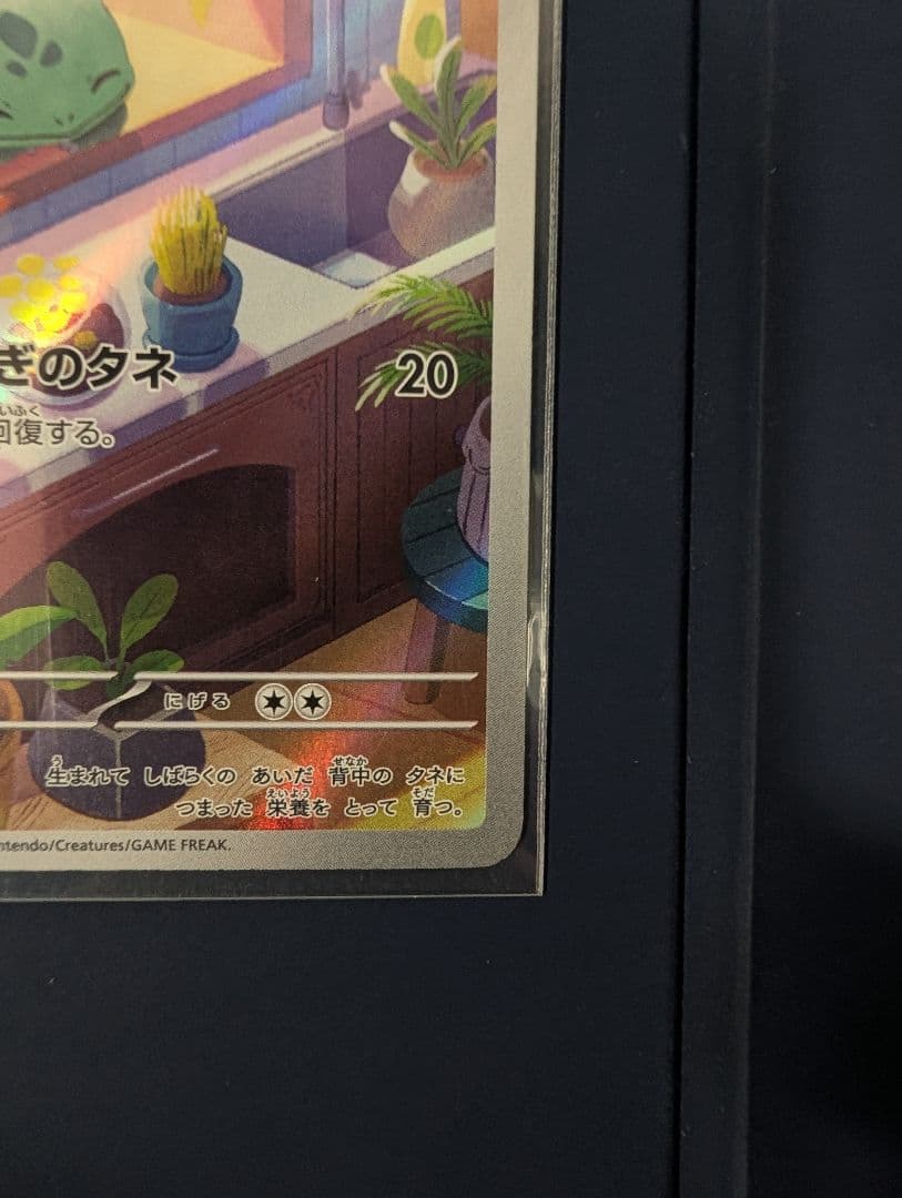 御三家公式ポケモンカード 3枚 ヒトカゲ フシギダネ ゼニガメ スペシャルデッキ