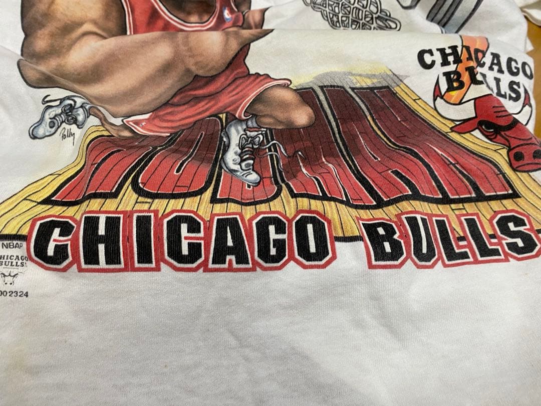 Chicago BULLS ブルズ　ロッドマンUSA製 Tシャツ NBA L