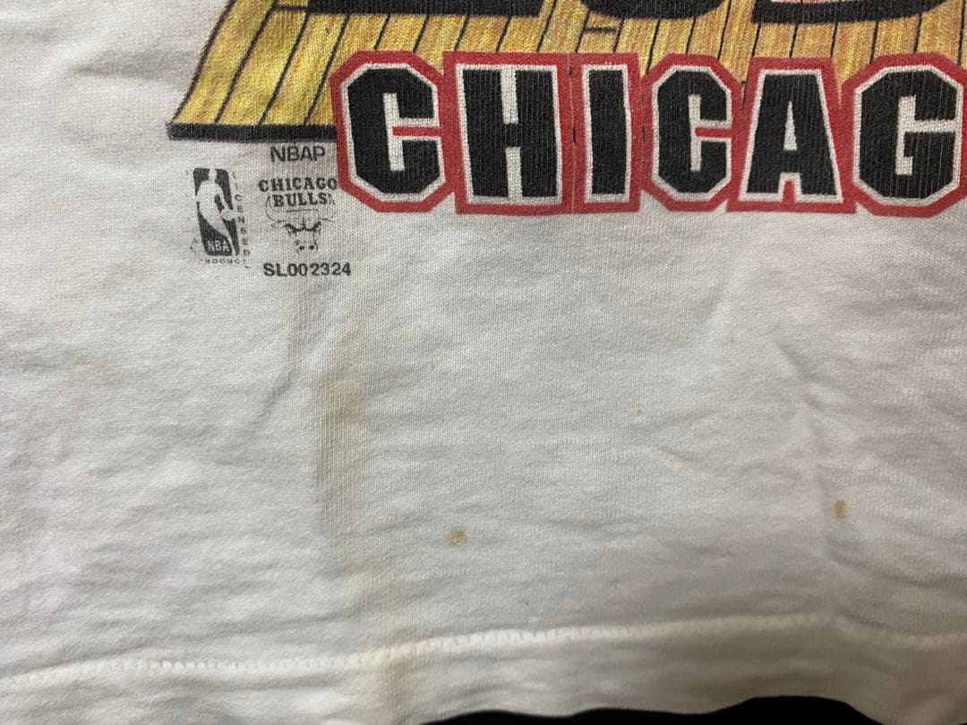 Chicago BULLS ブルズ　ロッドマンUSA製 Tシャツ NBA L