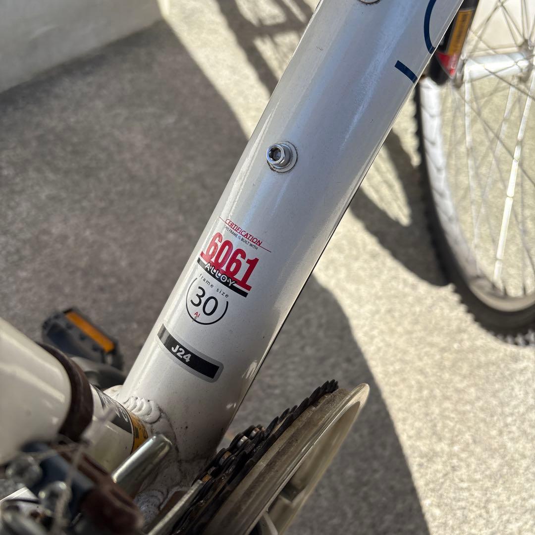引取限定　LOUIS GARNEAU ルイガノ J24 24インチ