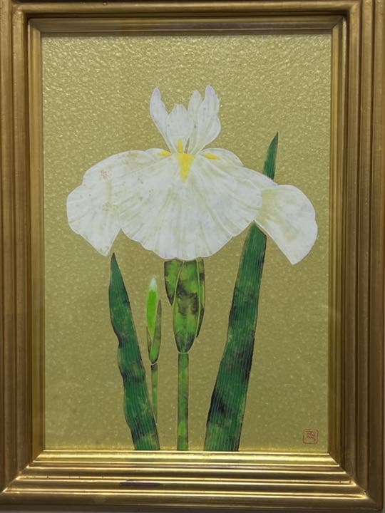 日本画 小田部 正邦 作 『菖蒲』 額入