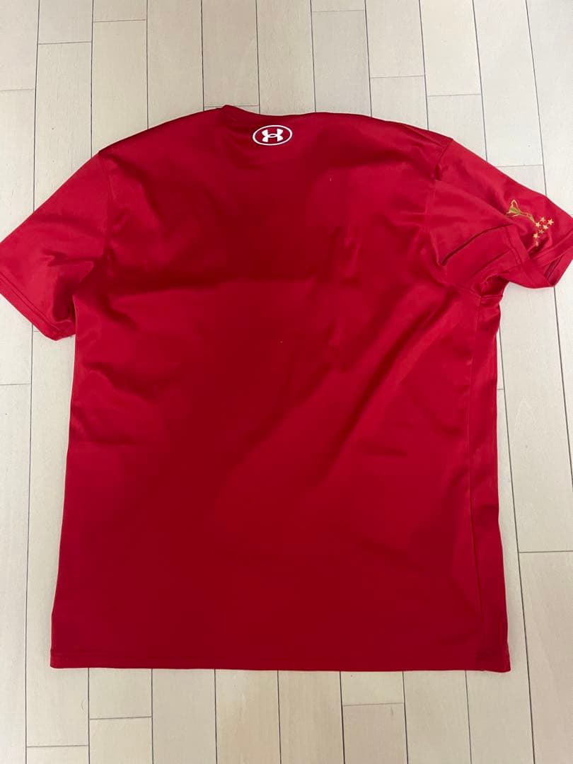 帝京大学 championTシャツ V11