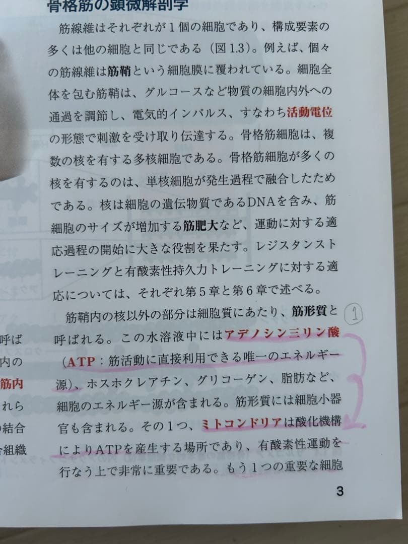 NSCA JAPAN パーソナルトレーナー 基礎知識 第二版 オールセット