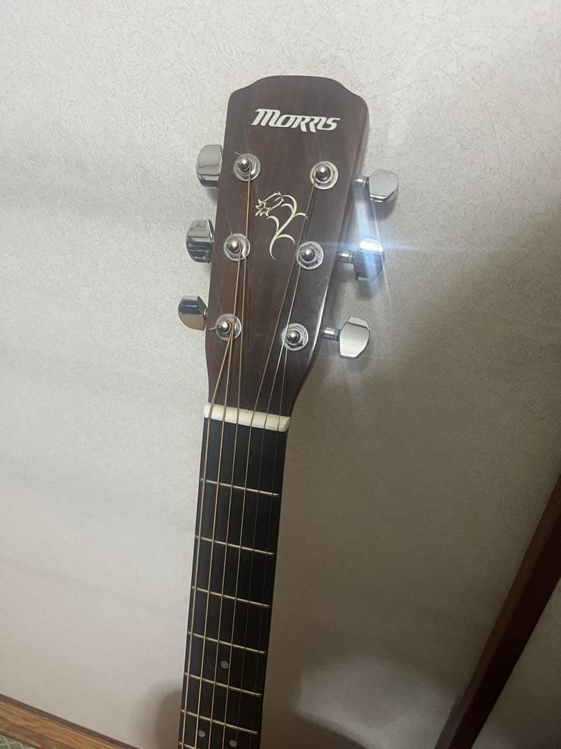 Morris 【モーリス】 f-01ⅡNAT アコースティックギター