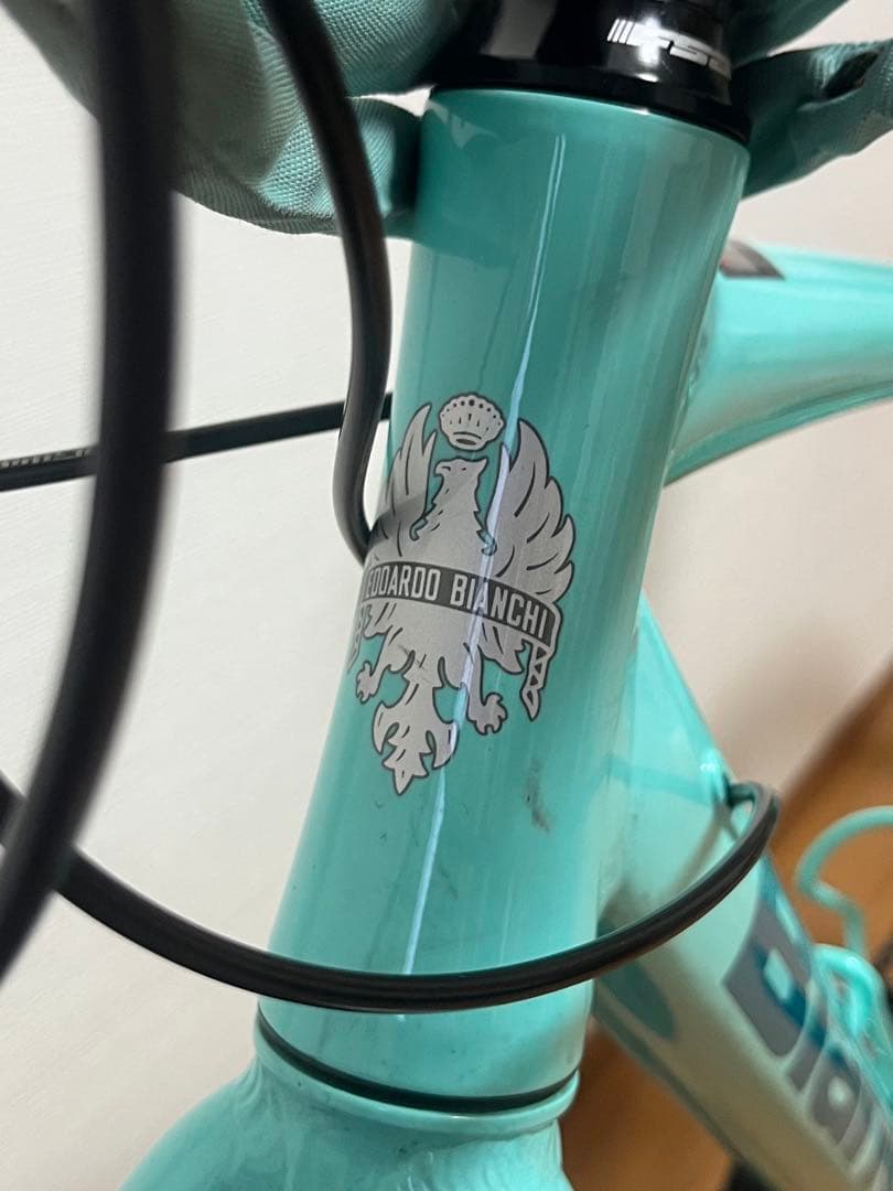 BIANCHI C-SPORT 1 2023 カスタム・付属品多数