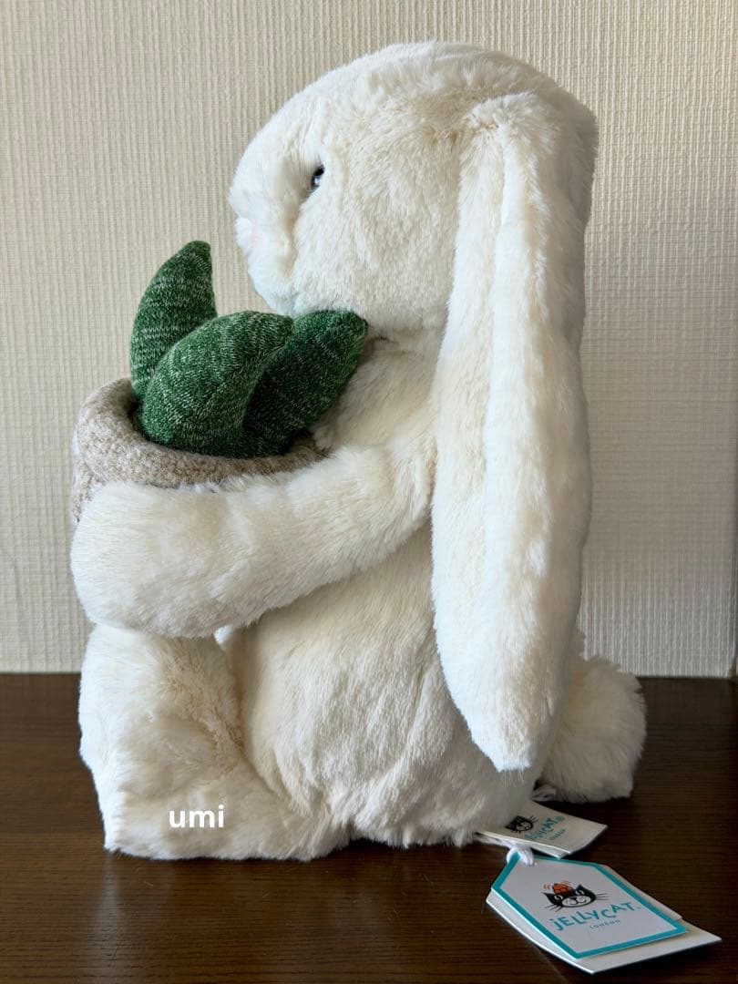 新作  Cream Bunny Plant 新品タグ付き
