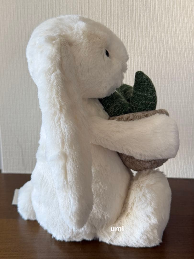 新作  Cream Bunny Plant 新品タグ付き