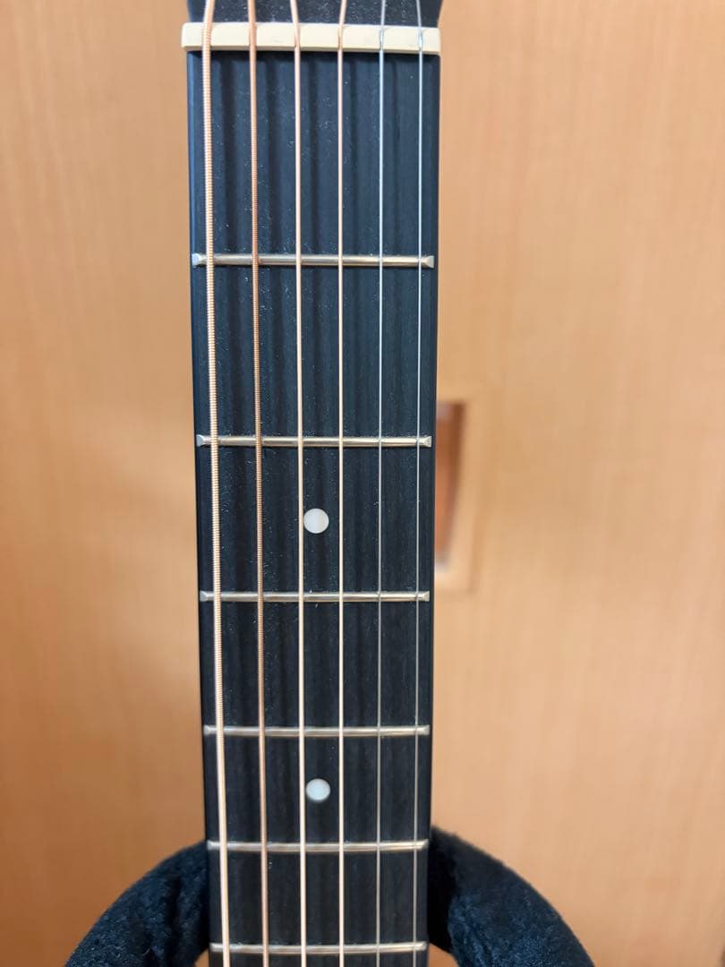ギター Morris SA-021E