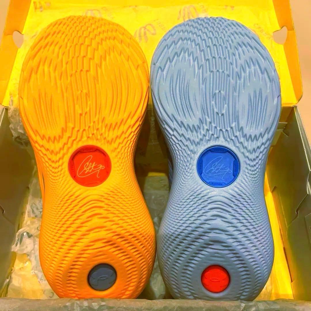 超美品！カリー12ワットザバイcurry12