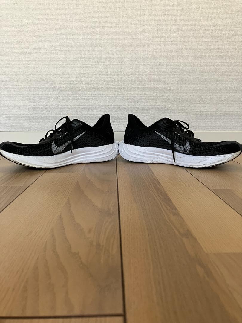 Nike ペガサスプラス