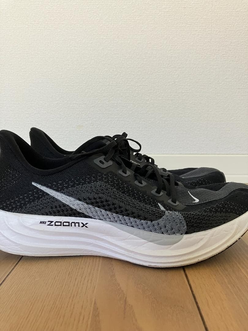 Nike ペガサスプラス