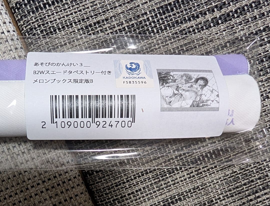 あそびのかんけい3巻有償特典タペストリー