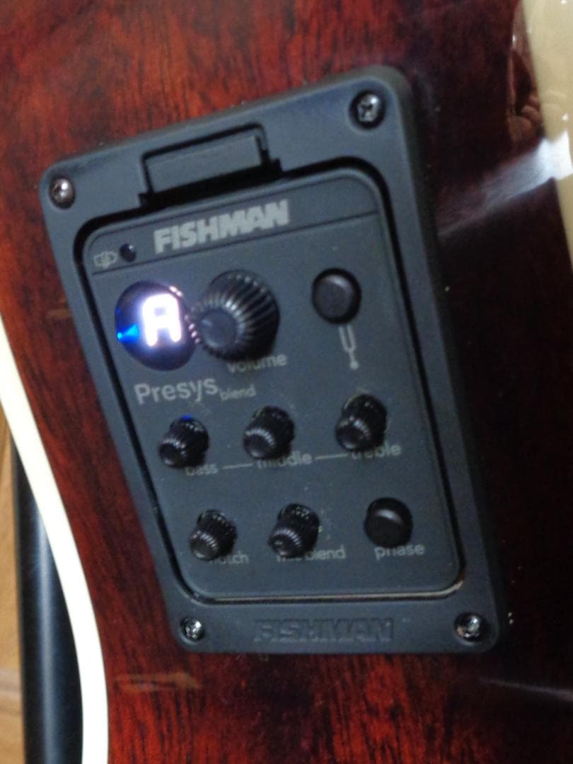 James J-350C EBU　Fishman製ピックアップ　エレアコ　美品！
