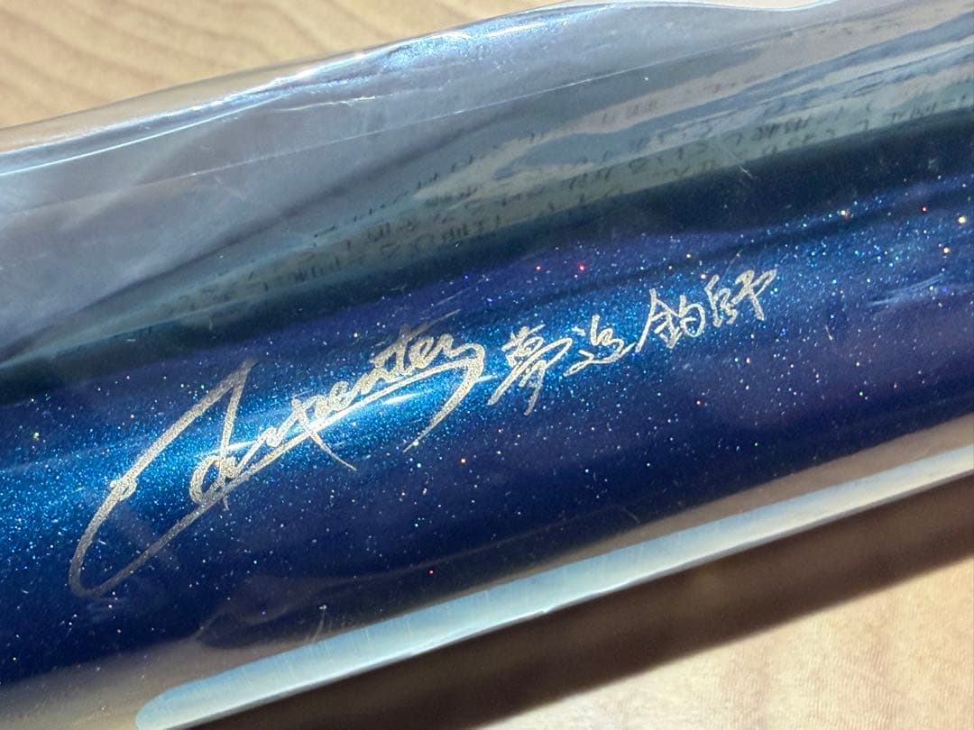 【新品未使用】カーペンター ストライクイーグル 150-245 FG-MD