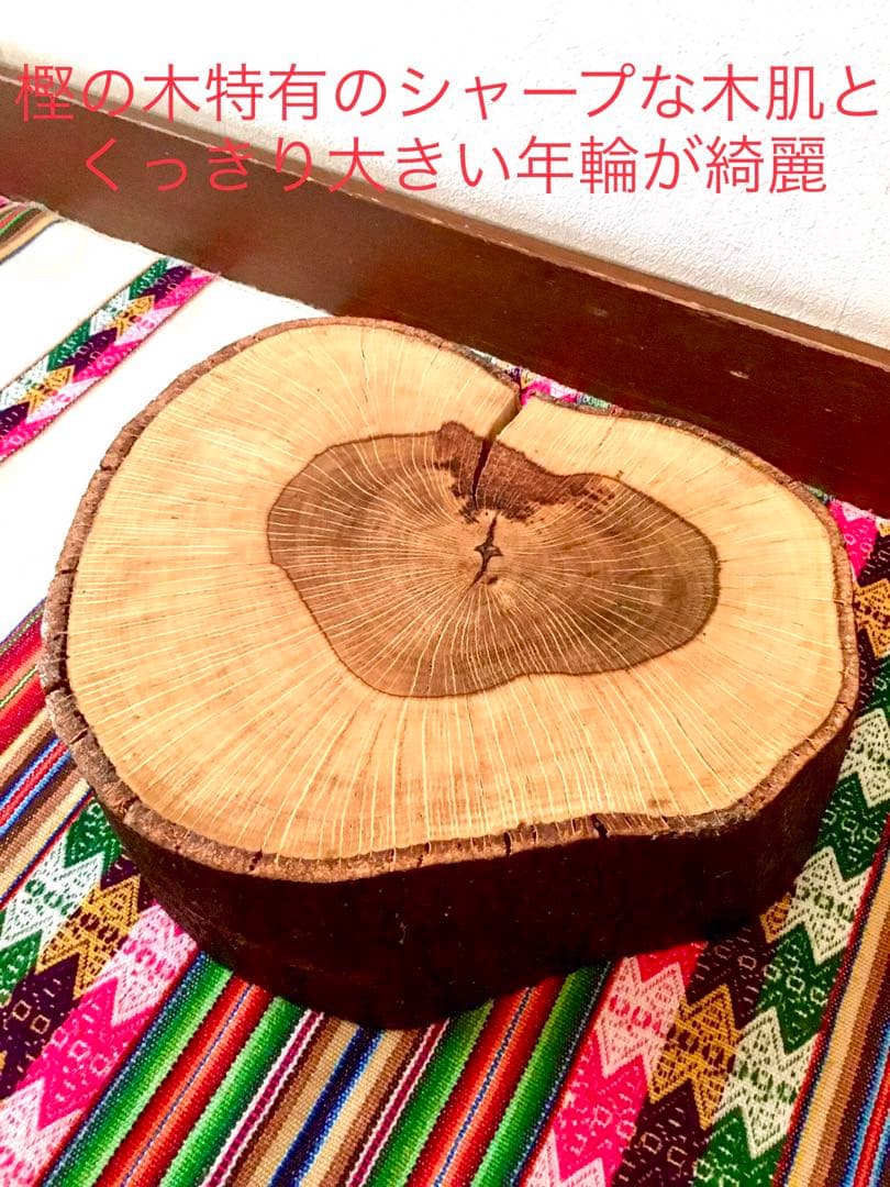 完売  天然樫の木で作成【大自然を感じられるハート型の切り株台】ちゃぶ台/座卓