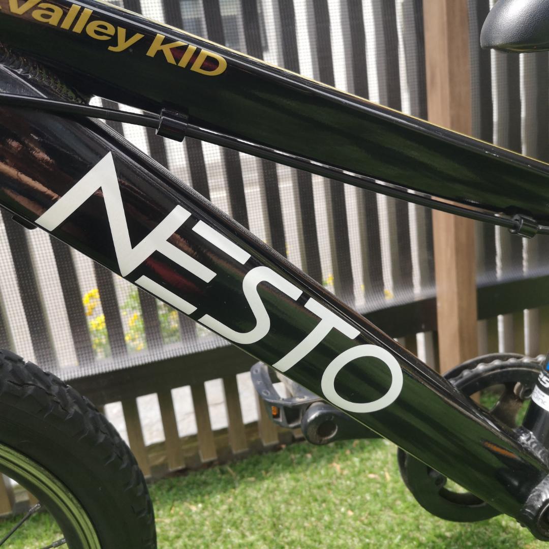 2023年購入 NESTO X-VALLEY KID 20インチ マウンテン