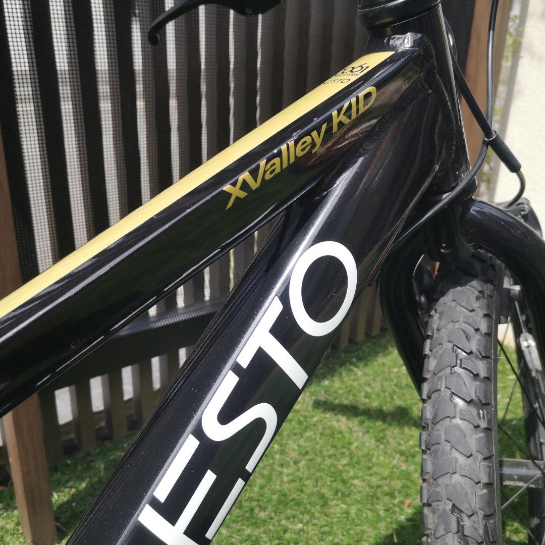 2023年購入 NESTO X-VALLEY KID 20インチ マウンテン
