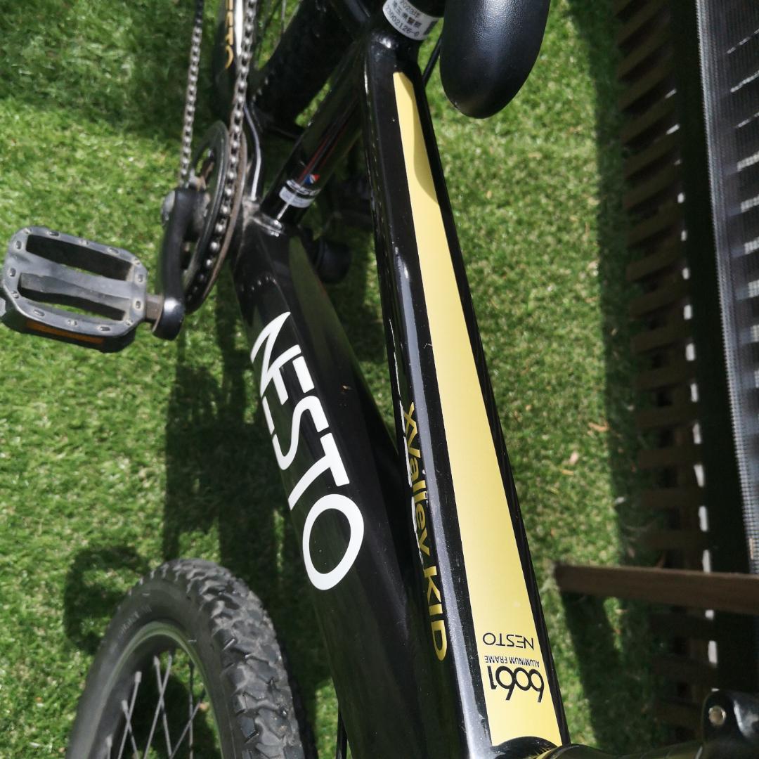 2023年購入 NESTO X-VALLEY KID 20インチ マウンテン