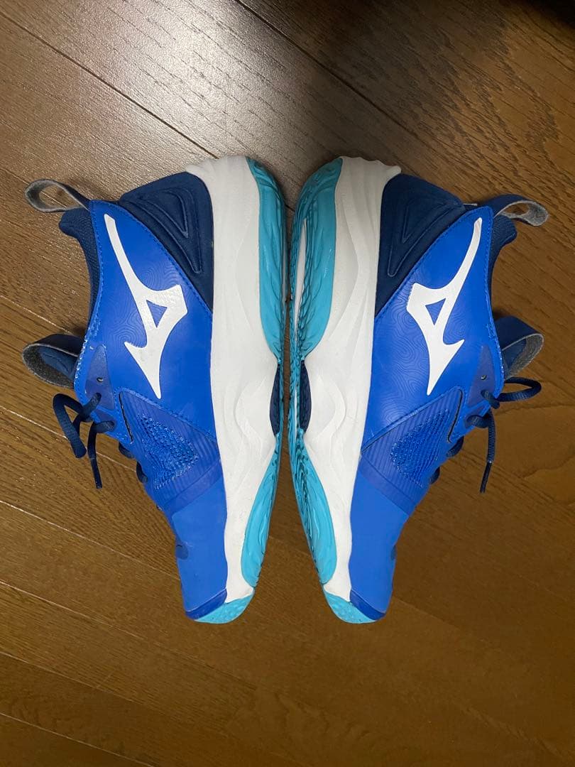 Mizuno ウェーブモーメンタム、バレーボールシューズ 青