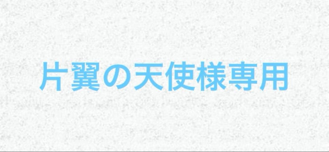 片翼の天使