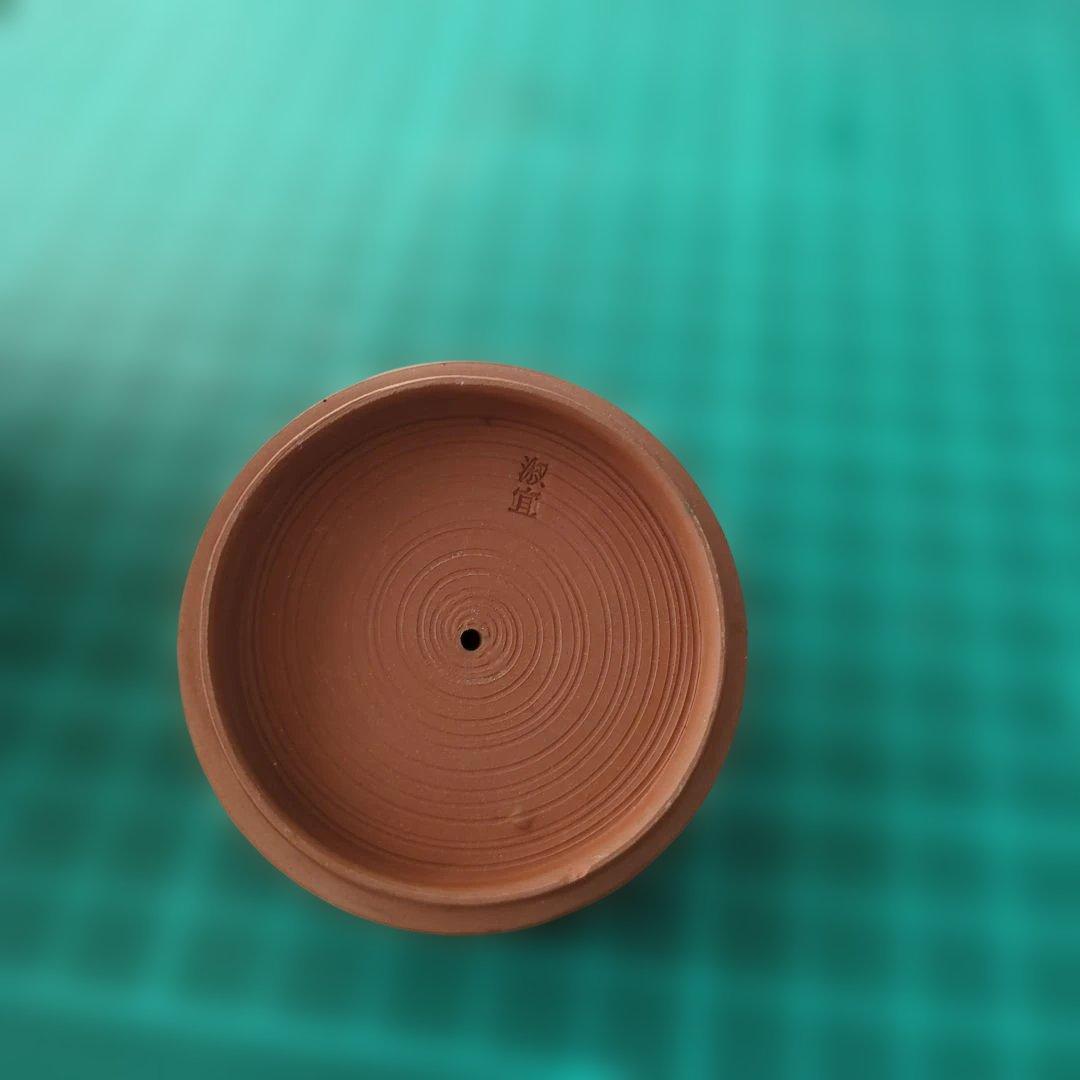 急須　茶道具　かえる　セミ　蓮