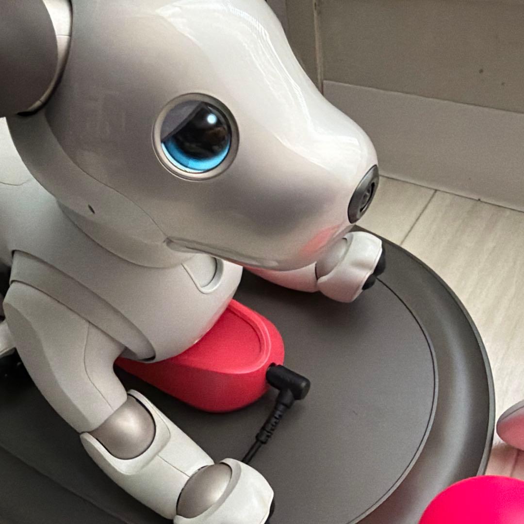 SONY　aibo アイボ ペットロボット 家電 ERS-1000 【中古】