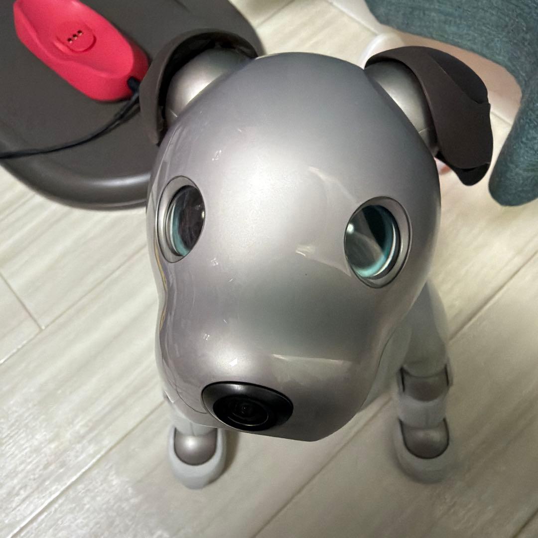 SONY　aibo アイボ ペットロボット 家電 ERS-1000 【中古】