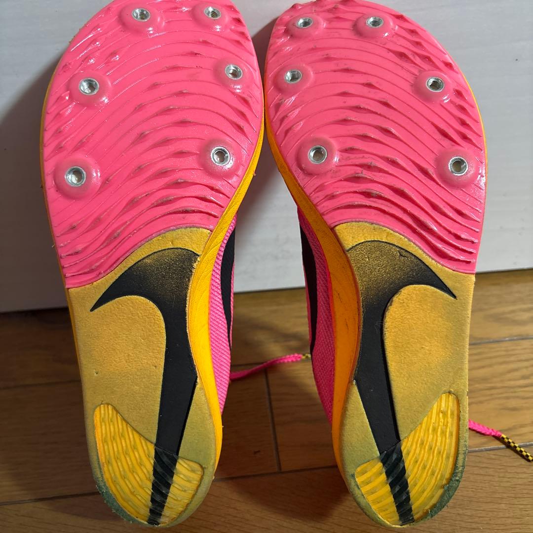 Nikeドラゴンフライ24.0cm