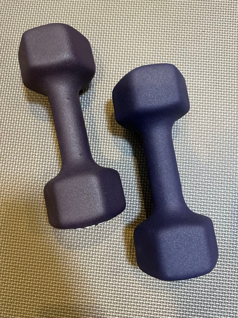 【送料込み】IVANKO ネオプレーンダンベル 鉄アレイ5kg 水洗い可