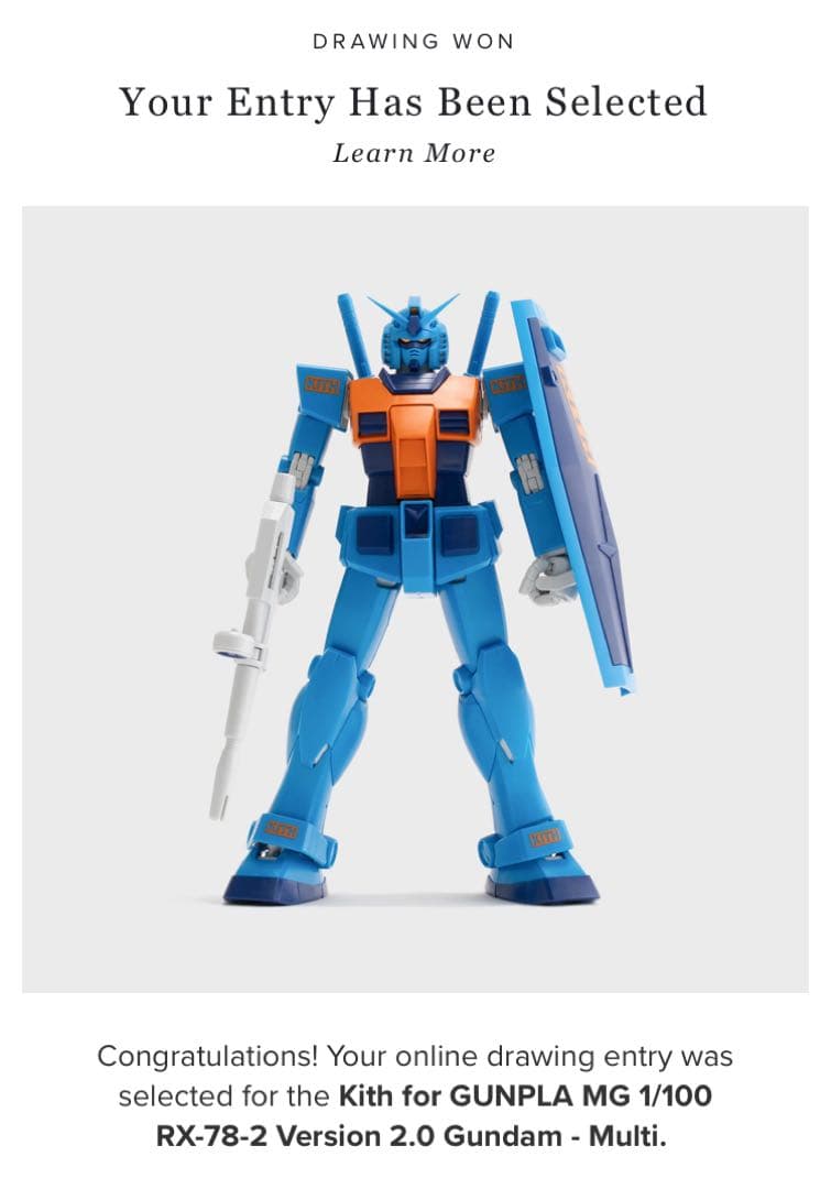 Kith キス ガンプラ Mg 1/100 ガンダム 2体セット ×2 計 4体