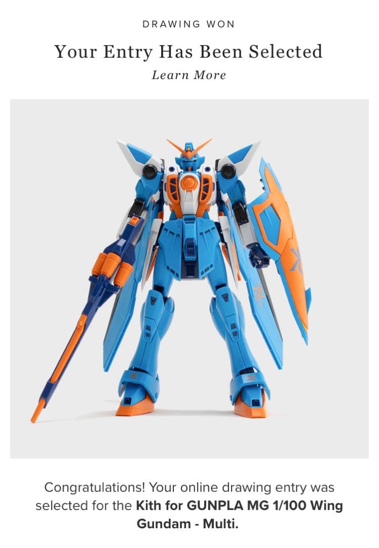 Kith キス ガンプラ Mg 1/100 ガンダム 2体セット ×2 計 4体