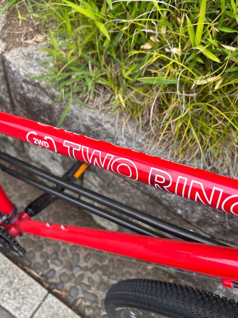 【ジャンク品】TWO RING 29インチ二輪駆動マウンテンバイク