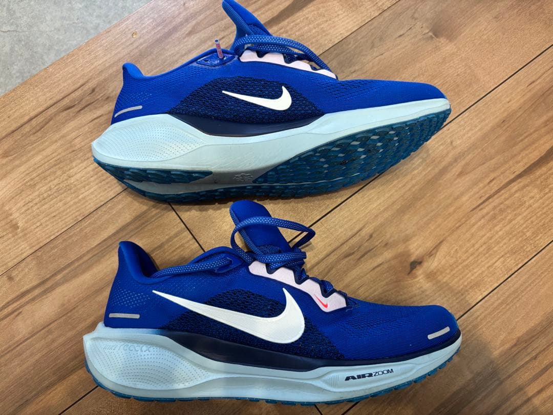 27センチ】Nike エアズームペガサス41