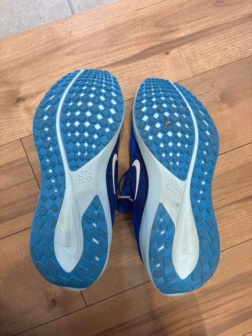 27センチ】Nike エアズームペガサス41