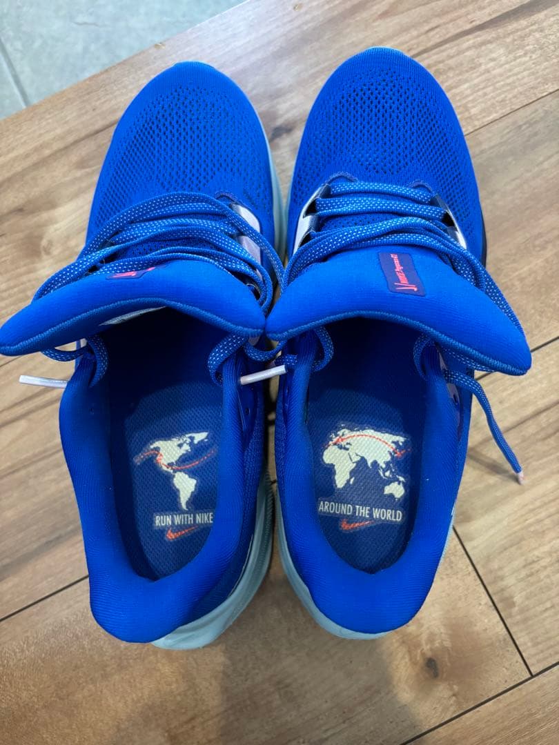 27センチ】Nike エアズームペガサス41