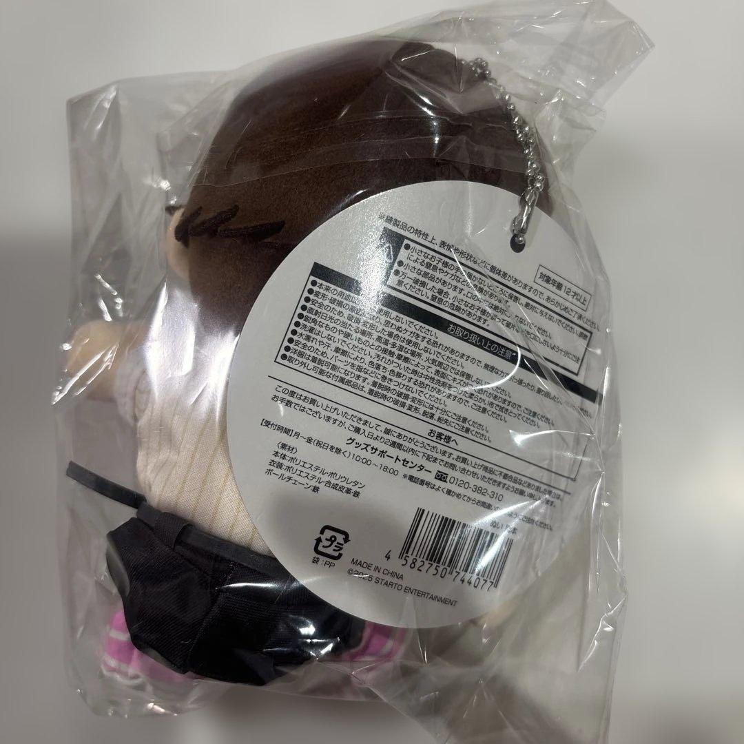 【新品未開封】timelesz タイムレス　橋本将生 ぬい FAM DOME
