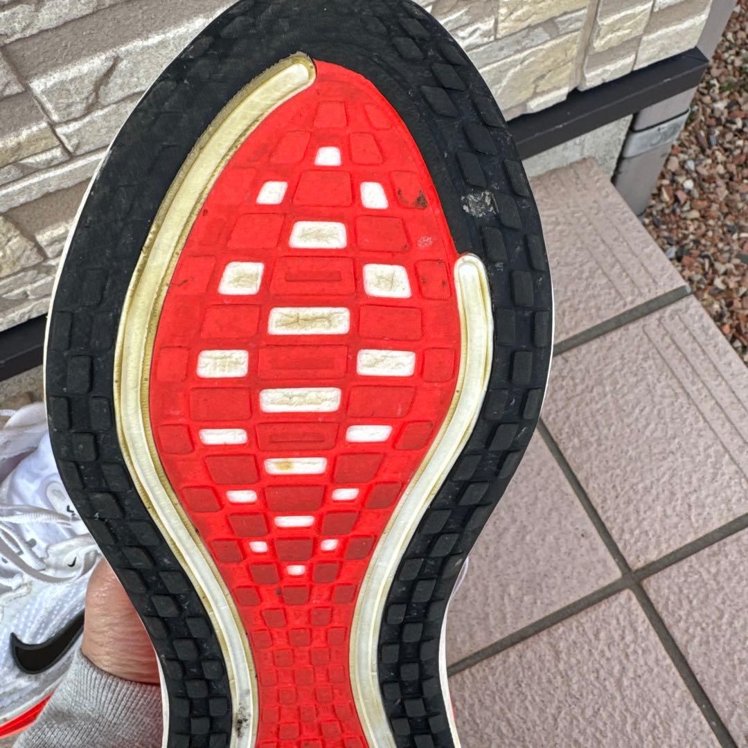 Nike ポメロプラス　ランニングシューズ　28㎝