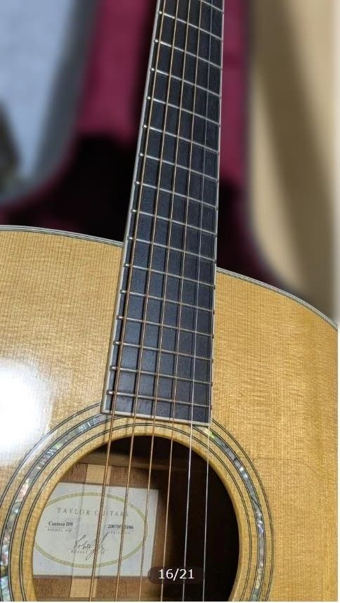 ⭐激レア⭐Taylor エレアコ Custom DNシリーズ アディロンダック
