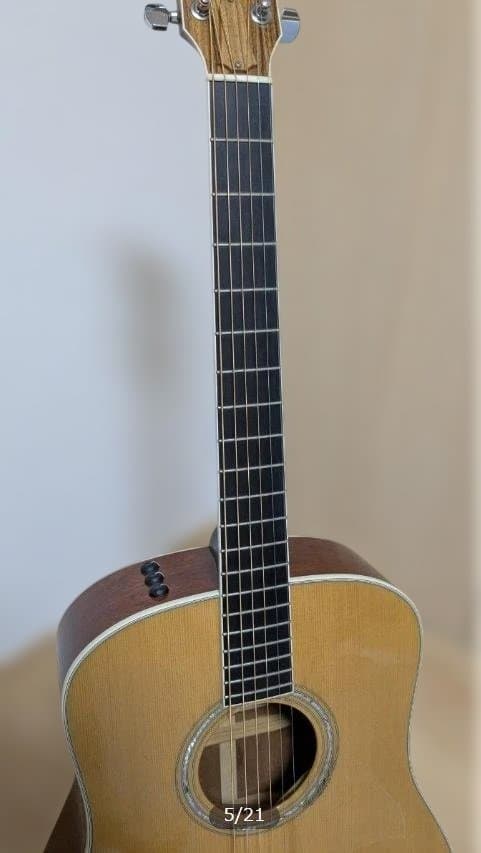 ⭐激レア⭐Taylor エレアコ Custom DNシリーズ アディロンダック